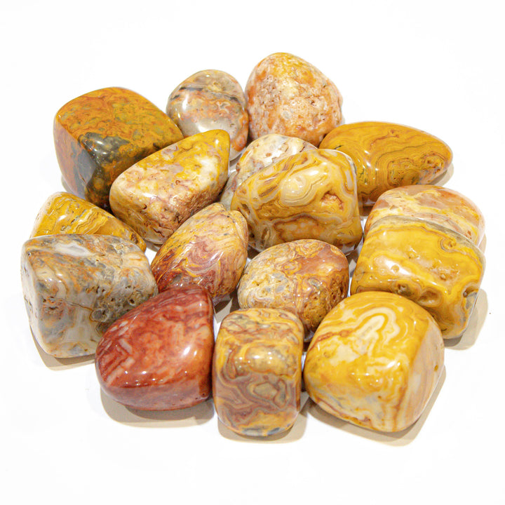 Assortment of polished Crazy Lace Agate stones with looping bands and earthy colors