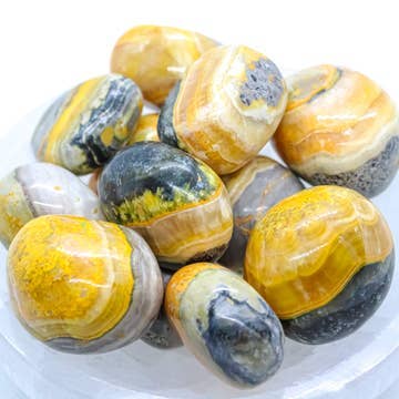 Polished Bumble Bee Jasper stones with yellow, orange, gray, and black banding