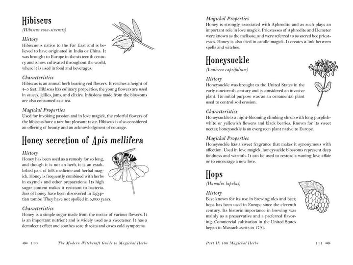 Modern Witchcraft Guide to Magickal Herbs shown open