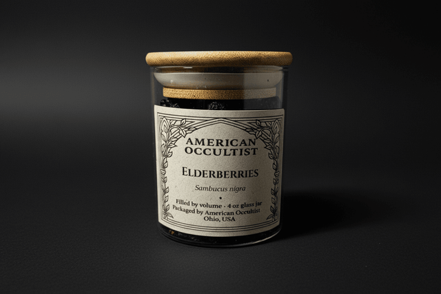 Organic dried elderberries (Sambucus nigra) in a labeled glass ritual herb jar