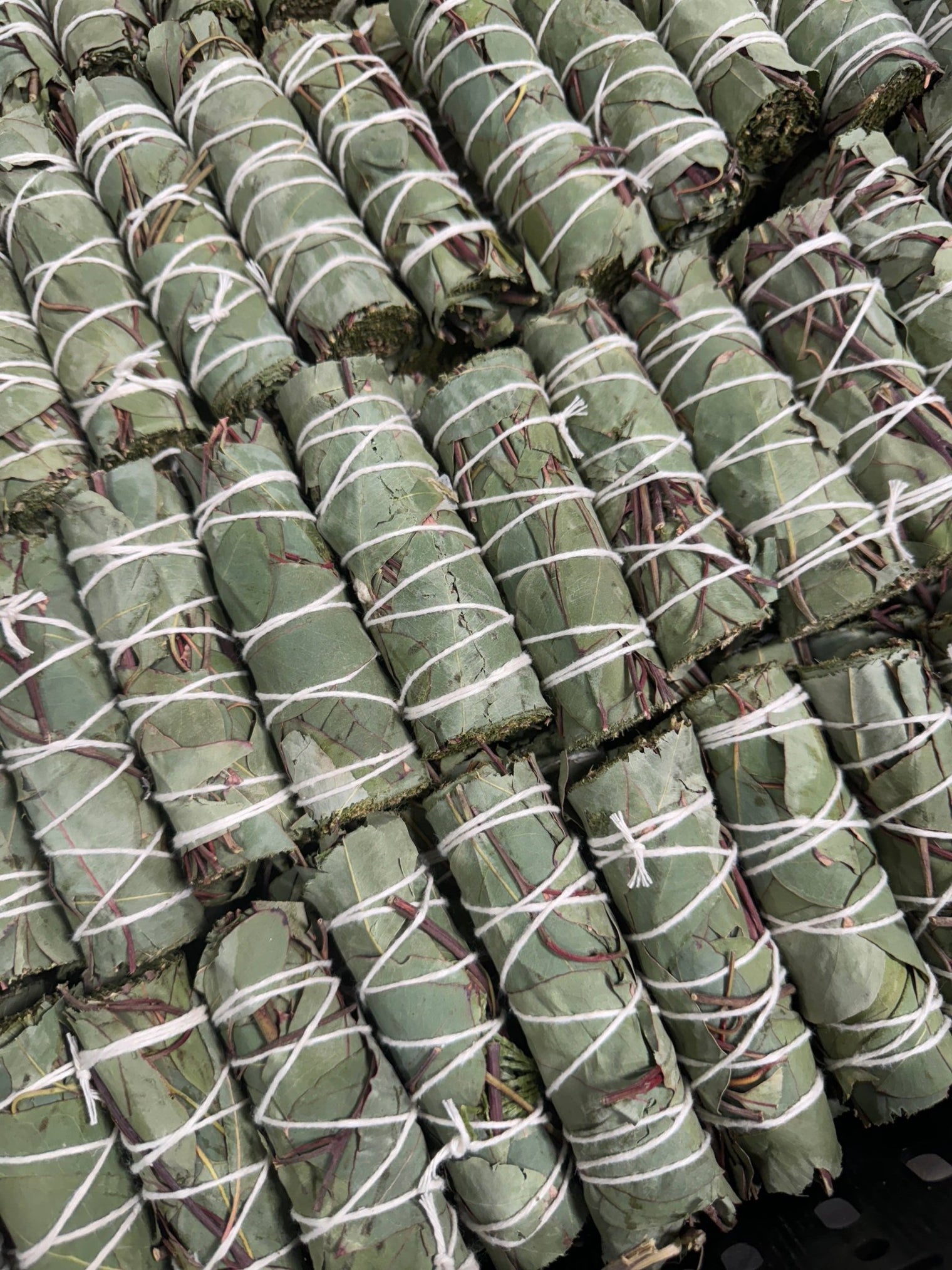 Bundles of green material tied with white string on a black surface