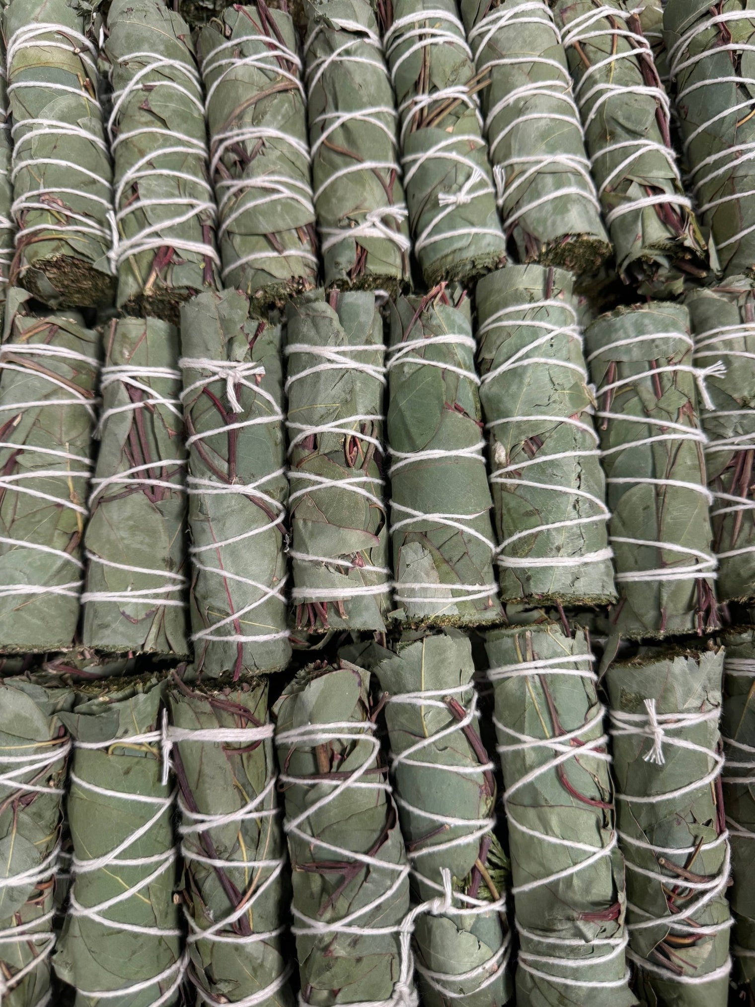 Stack of green bundles wrapped with white string