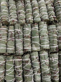 Stack of green bundles wrapped with white string