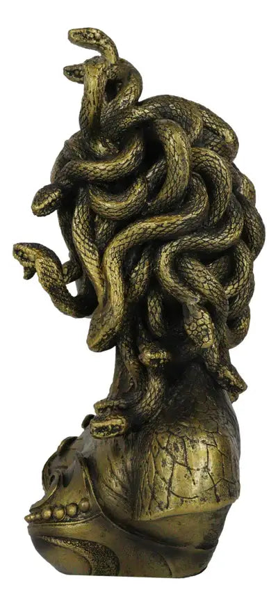 Medusa bust snake hair detail