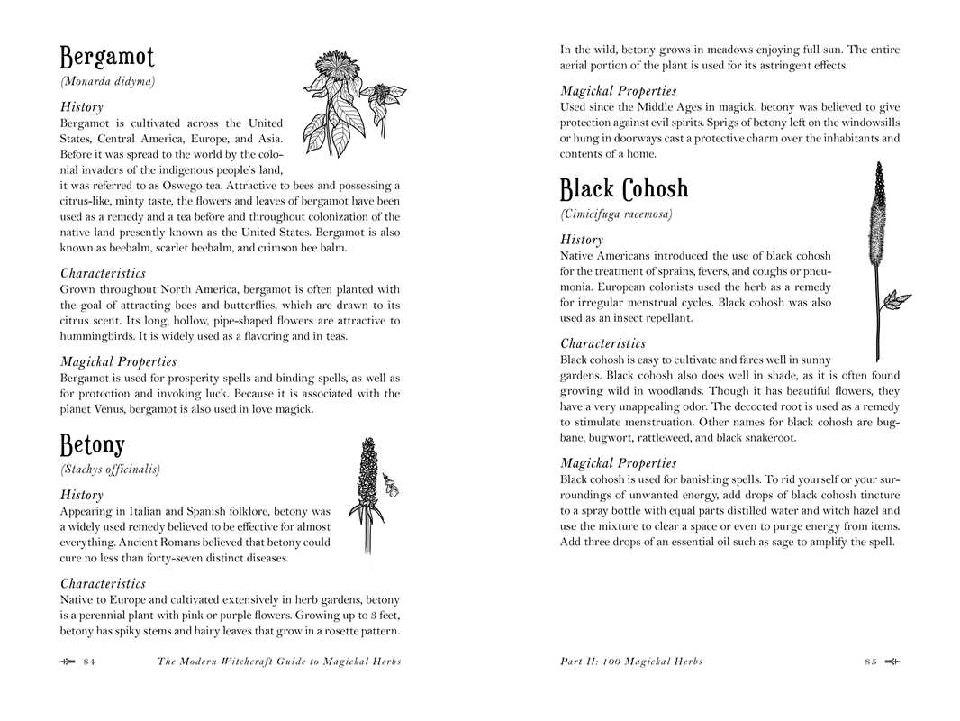 Magickal Herbs book illustrated spread