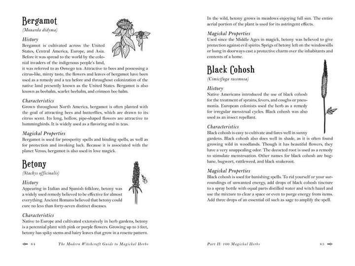 Magickal Herbs book illustrated spread