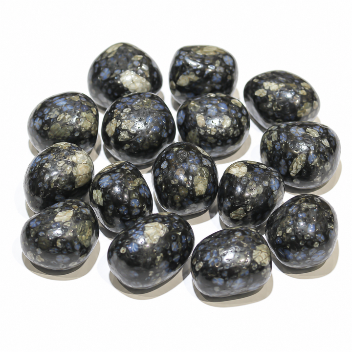 Polished dark Glaucophane stones with blue-gray and cream mineral patches on white