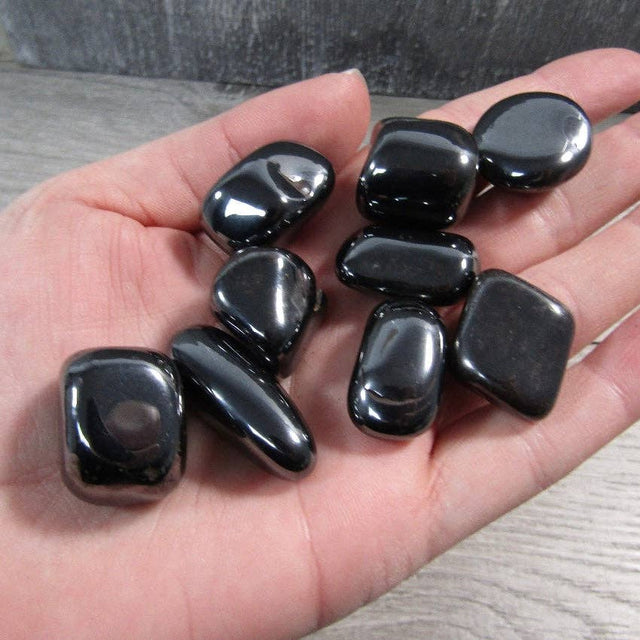 Hand holding shiny black stones on a neutral background