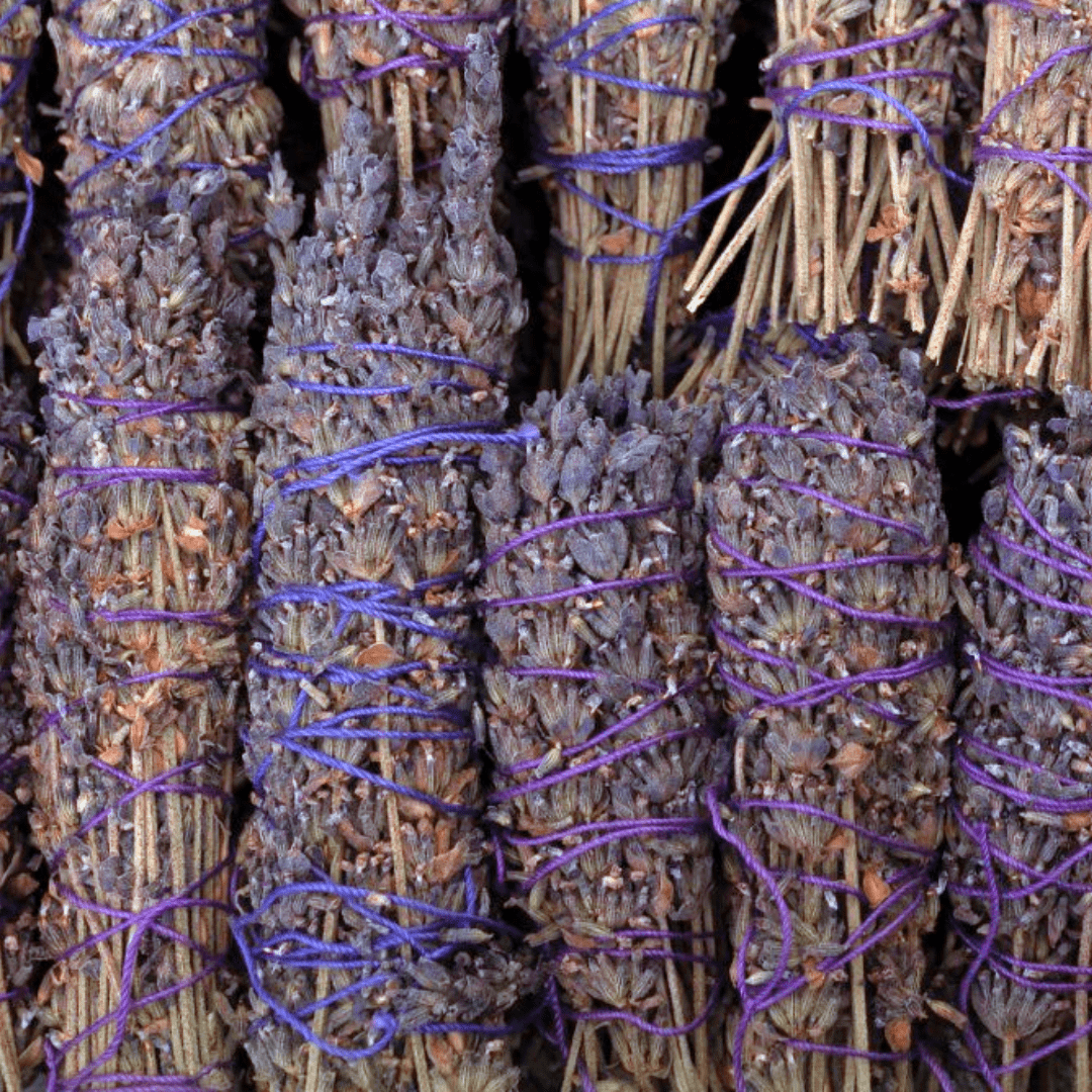 Bundles of dried lavender tied with purple string on a dark background
