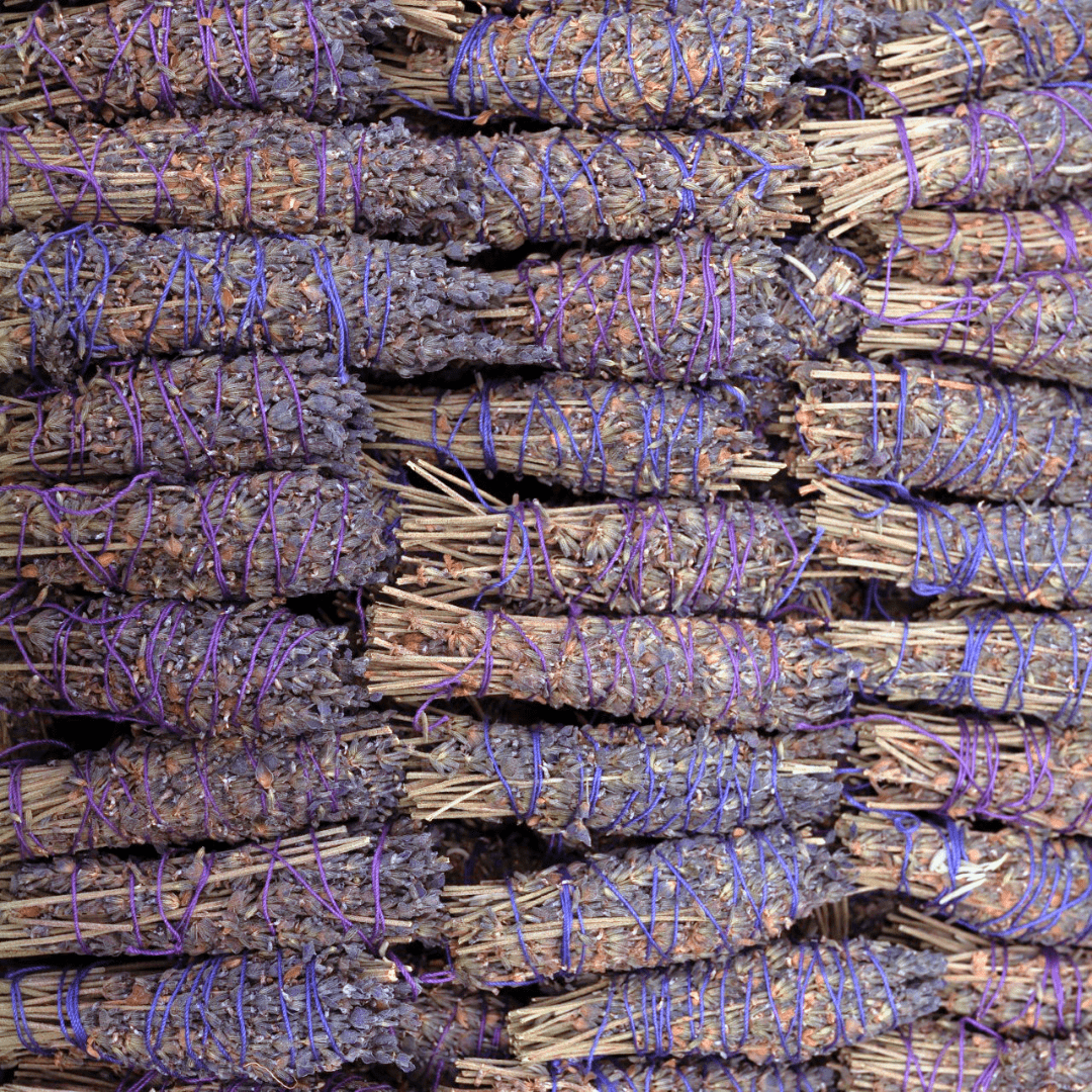 Stack of bundled sticks with purple string ties