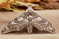 Moon Phase Moth Hair Clip – Mystical Night Accessory