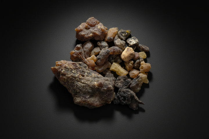Palo Santo Resin – Purification & Spiritual Connection