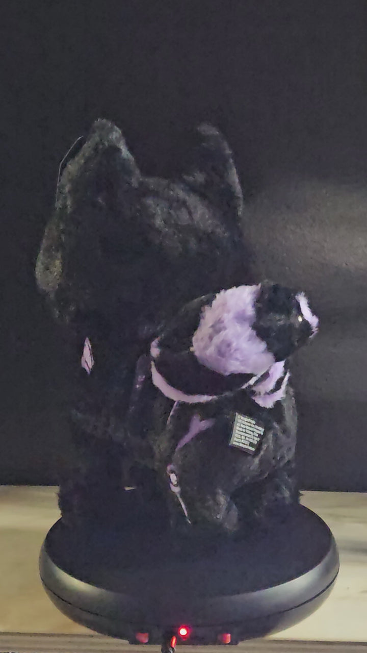 Skelekitty Plush Toy [Purple Bones Limited Edition]