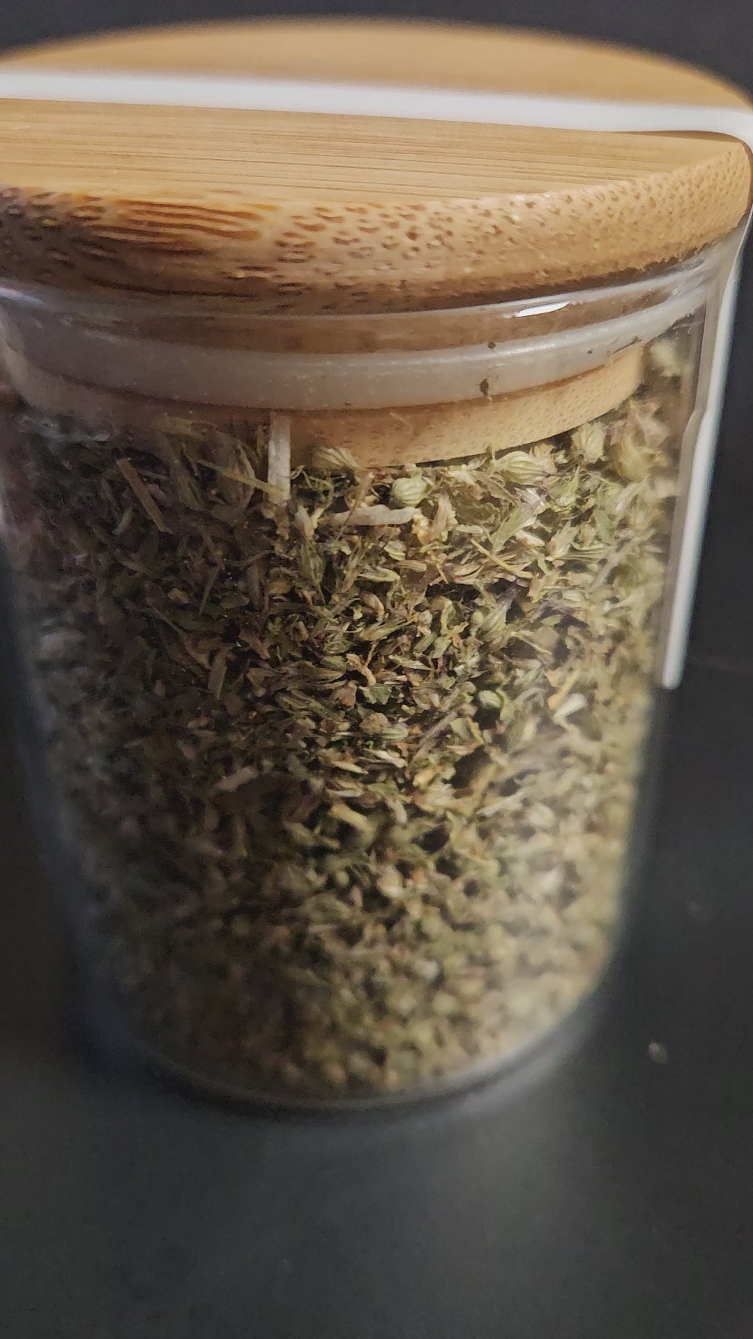 Catnip (Nepeta cataria) – Ritual Herb Jar