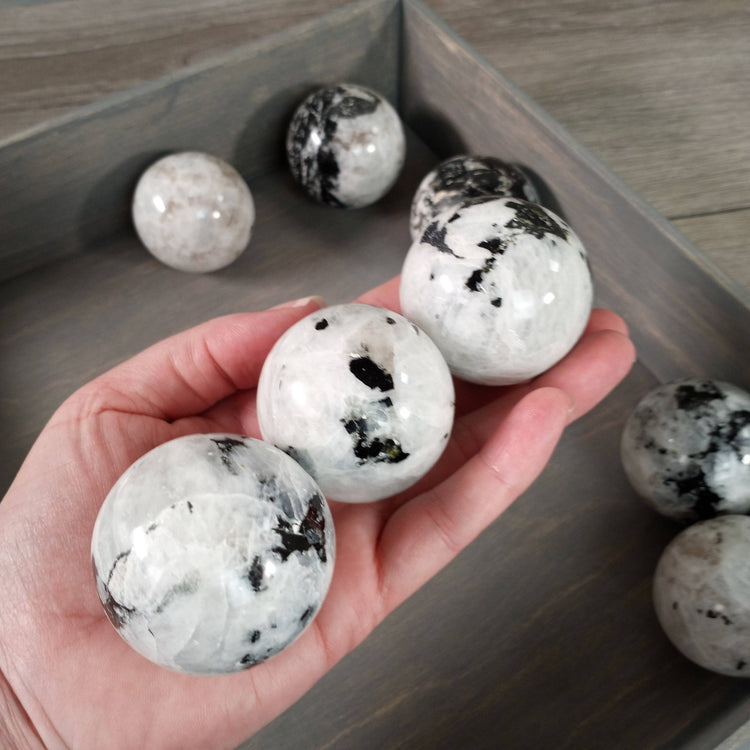Hand holding a white marble-like sphere with black spots, surrounded by similar spheres on a wooden surface.