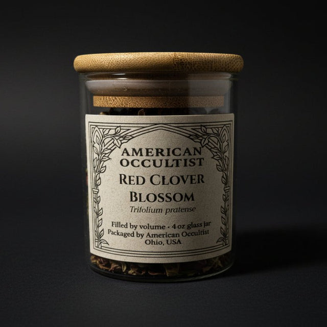 Dried red clover blossom material (Trifolium pratense) in a labeled glass ritual herb jar