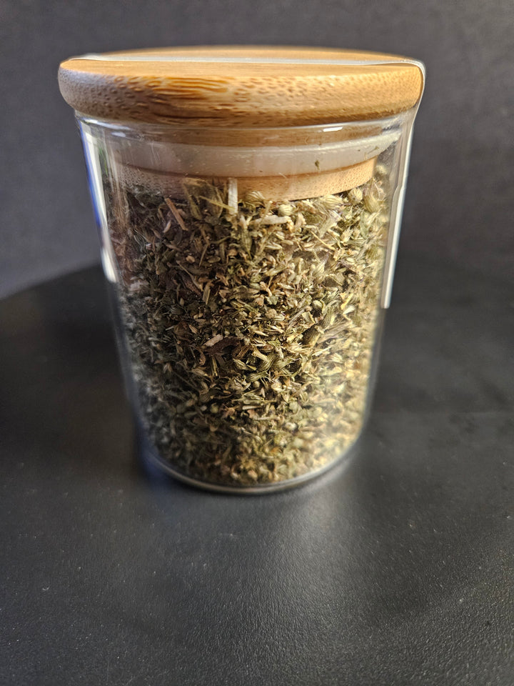Catnip (Nepeta cataria) – Ritual Herb Jar