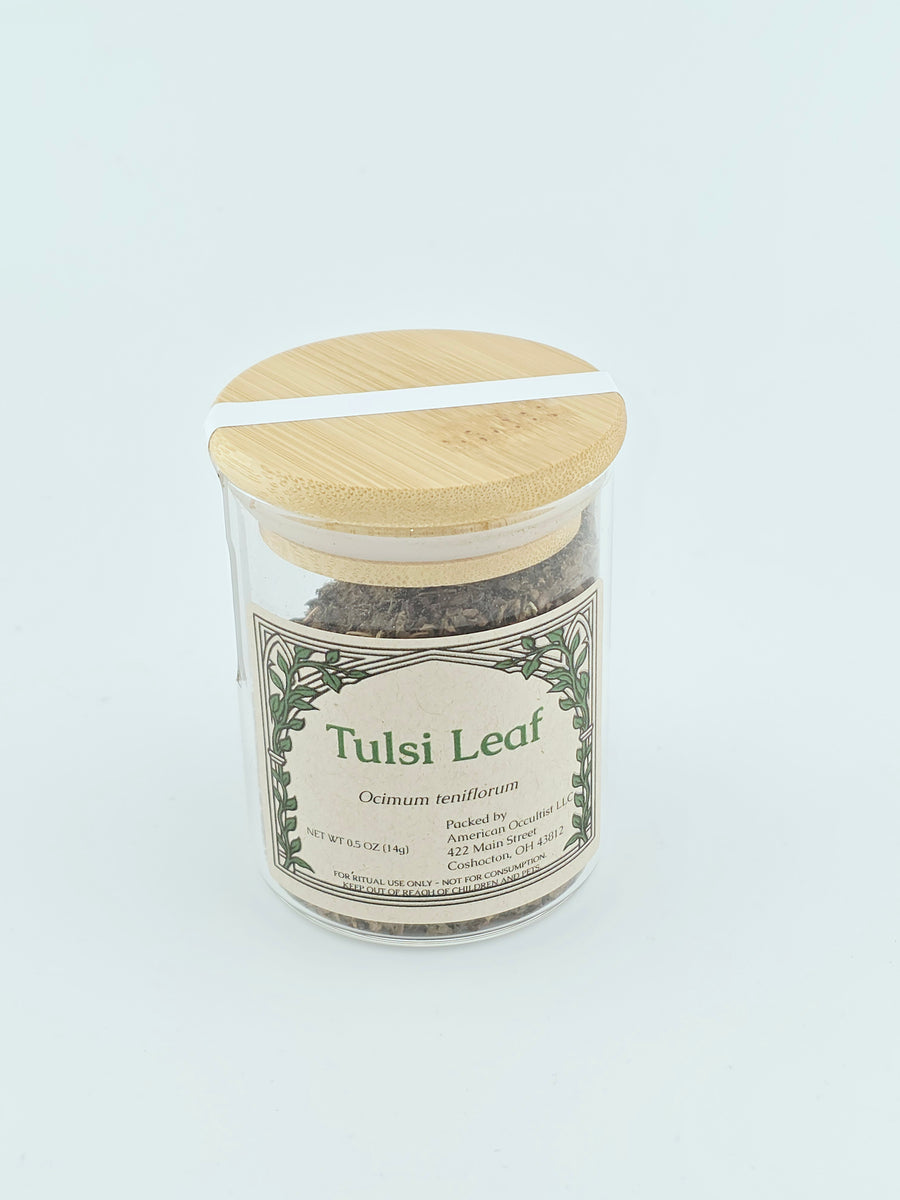 Tulsi Leaf (Ocimum tenuiflorum) – Ritual Herb Jar