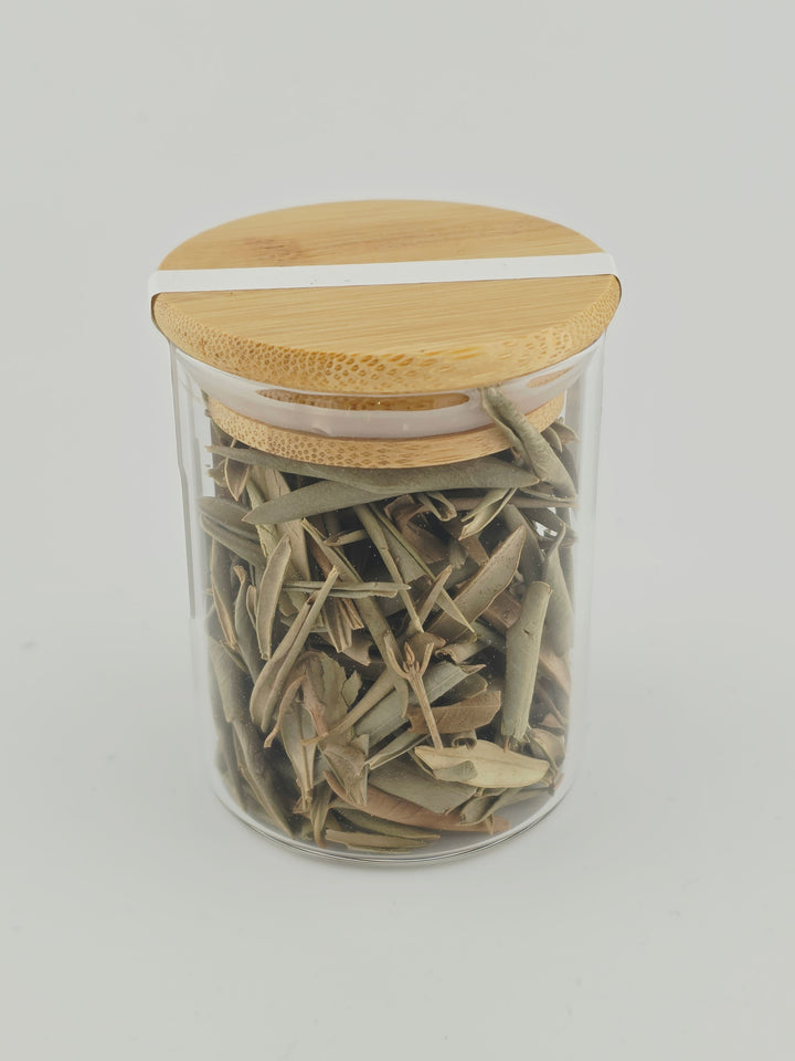 Olive Leaf (Olea europaea) – Ritual Herb Jar