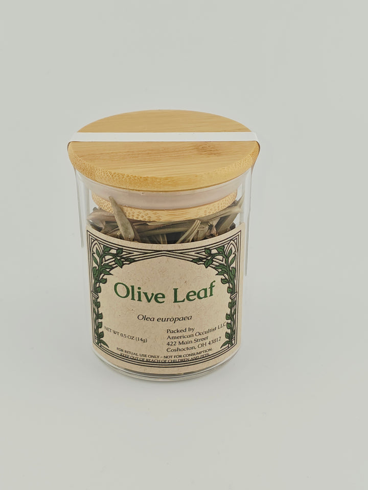 Olive Leaf (Olea europaea) – Ritual Herb Jar