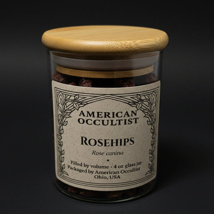 Rosehips (Rosa canina) – Ritual Herb Jar