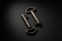 Ornate decorative skeleton key with shaped bow