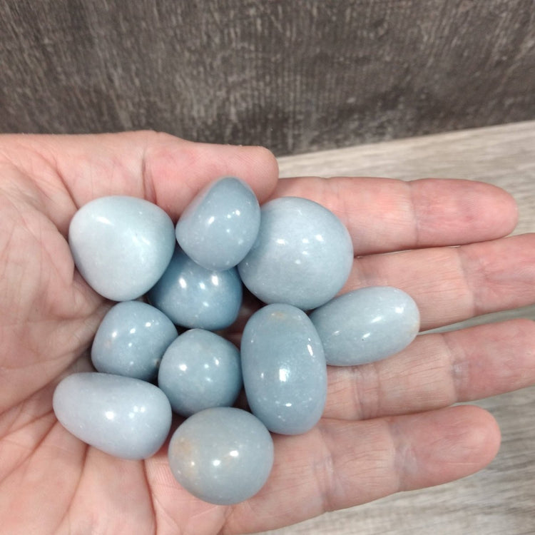 Hand holding a small pile of light blue stones against a neutral background