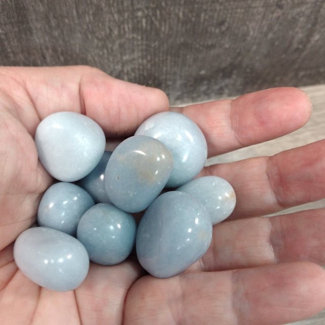 Hand holding a small pile of light blue stones against a neutral background