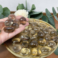 Hand holding a clear crystal rock over a gold dish filled with similar crystals, with greenery in the background.