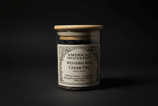 Wildcrafted dried western red cedar tips (Thuja plicata) in a labeled glass ritual herb jar