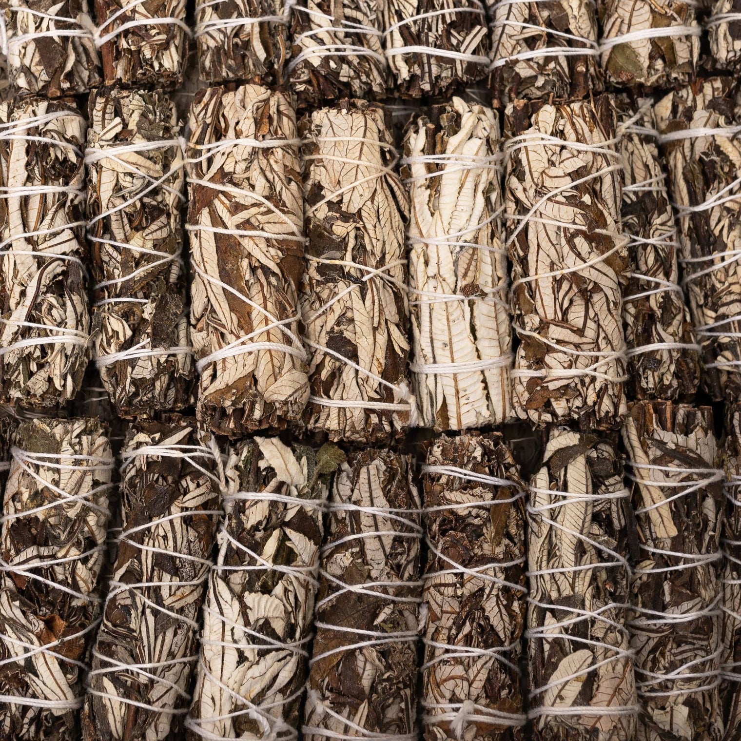 Close-up of bundles of sage tied together with twine.